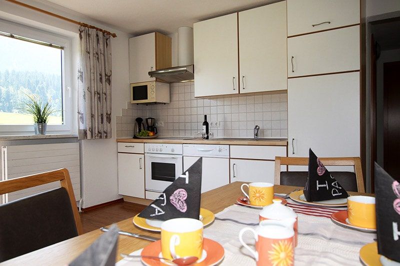 Appartement Brandstadl mit Küche Hof Kalkschmied Söll, Bergbahnen Wilder Kaiser, Hohe Salve, Tiroler Unterland, Brixental, Kaiserwelt Scheffau